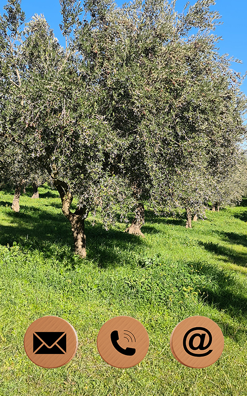 olive groves nakopoulou contact page